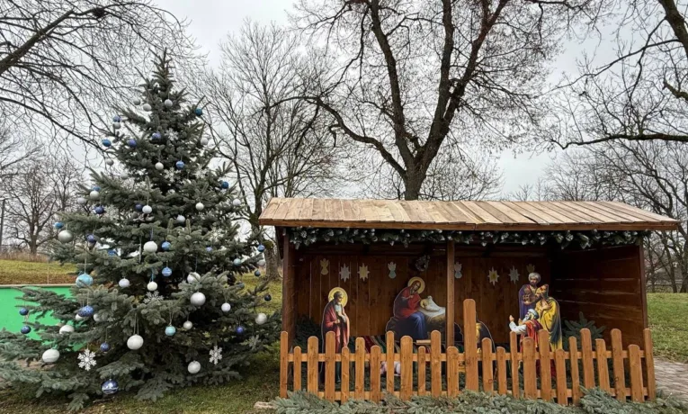 встановили ялинку