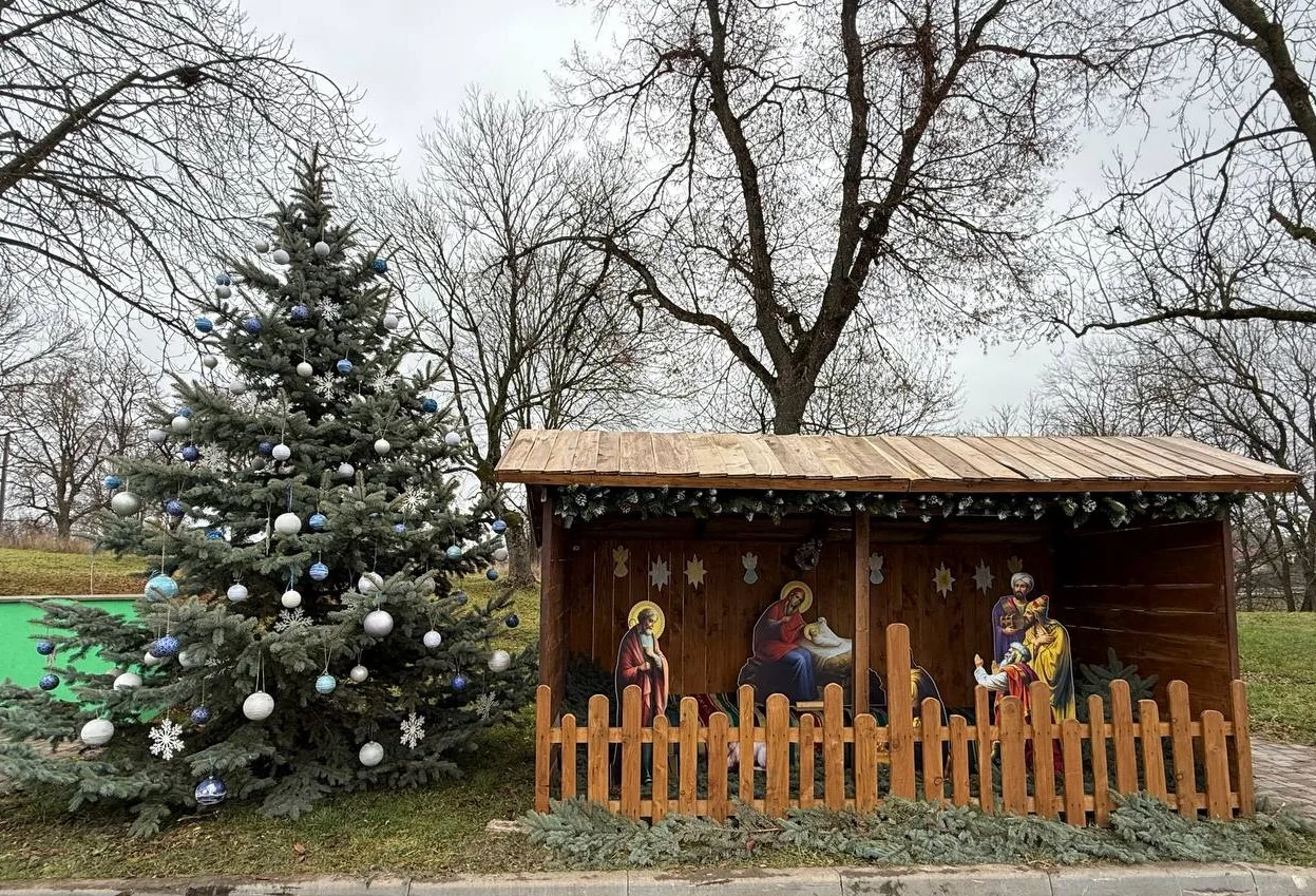 встановили ялинку