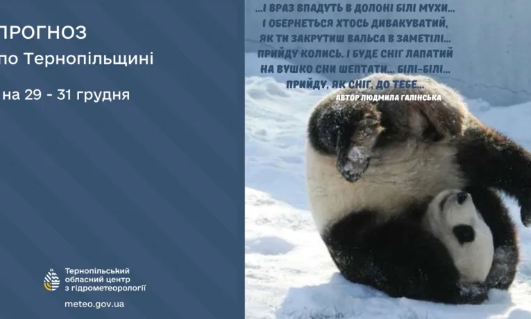 Сніг, ожеледиця і сильний вітер: якою буде погода наприкінці грудня на Тернопільщині