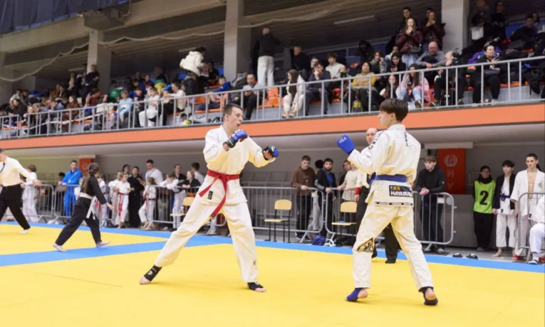 джиу-джитсу