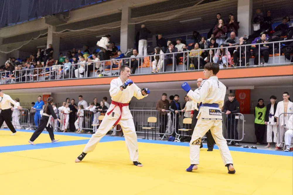 джиу-джитсу