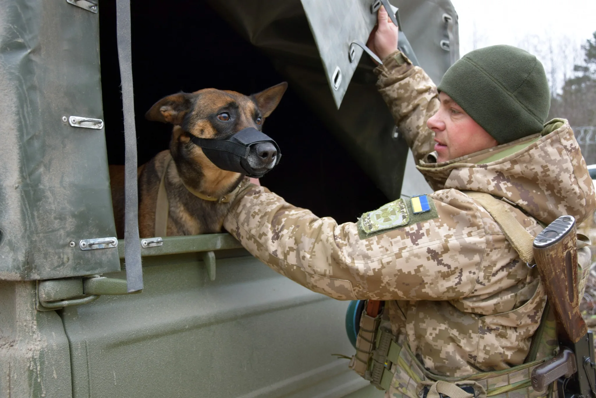 Прикордонник Назар із вівчаркою Мембою