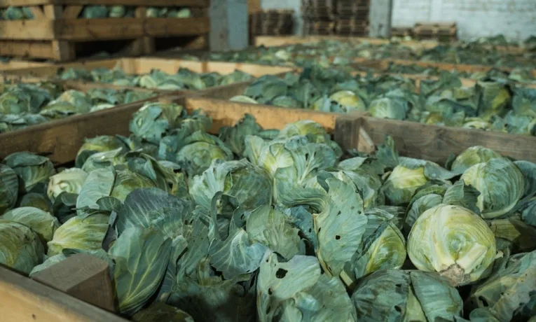 овочесховище