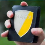 Рік після “картонкового майдану”: що змінило відновлення незалежності НАБУ і САП