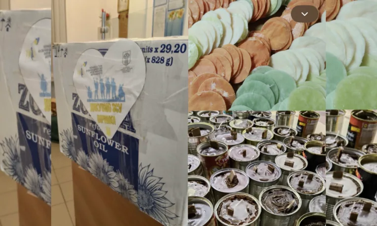 Допомога зсу