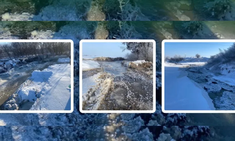 Забруднення