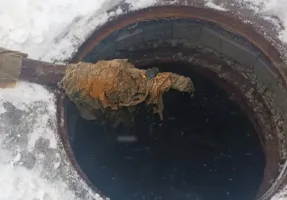 волосся