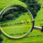 На Тернопільщині кіберполіцейські викрили державного реєстратора у махінаціях із земельними ділянками