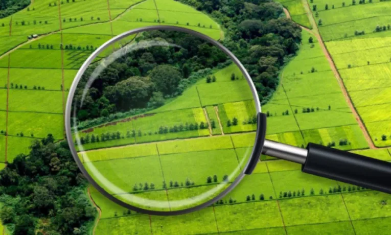 На Тернопільщині кіберполіцейські викрили державного реєстратора у махінаціях із земельними ділянками