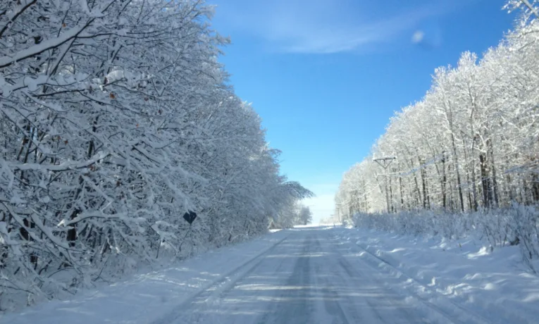 Морози тримають Тернопільщину: водіїв попереджають про ожеледицю на вихідних