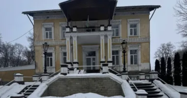 кнопки виклику