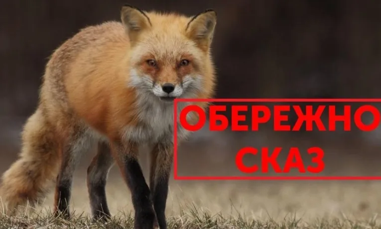 випадок сказу