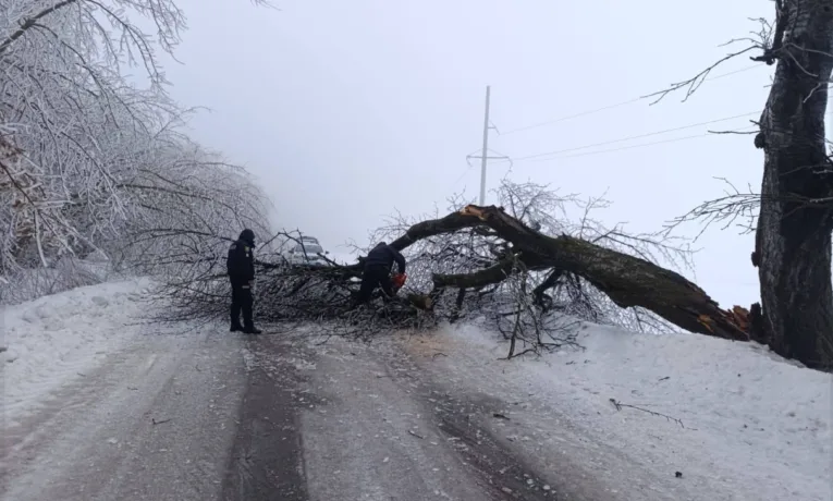 На Підгаєччині поліцейські разом із водіями оперативно розчистили трасу від поваленого дерева
