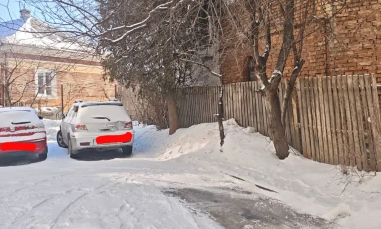 Пів року обіцянок: у Тернополі керуюча компанія «Наш дім-2» ігнорує аварійні дерева