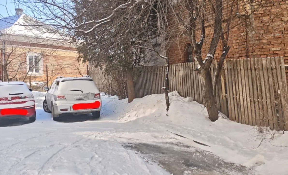 Пів року обіцянок: у Тернополі керуюча компанія «Наш дім-2» ігнорує аварійні дерева