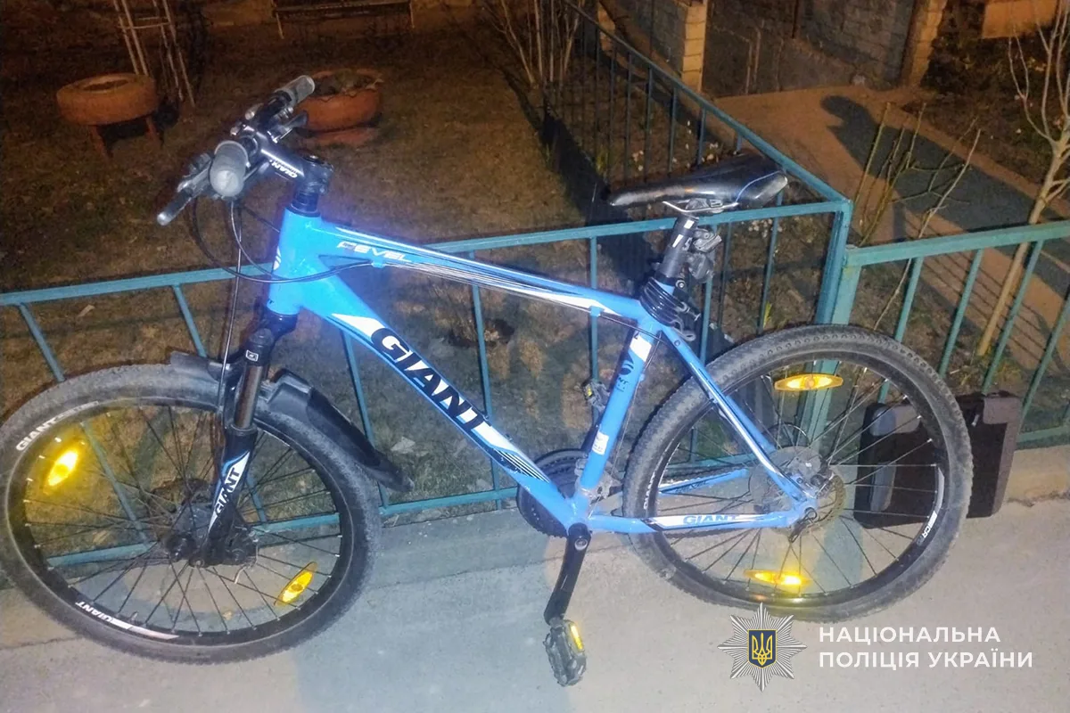 На Тернопільщині водійка на 