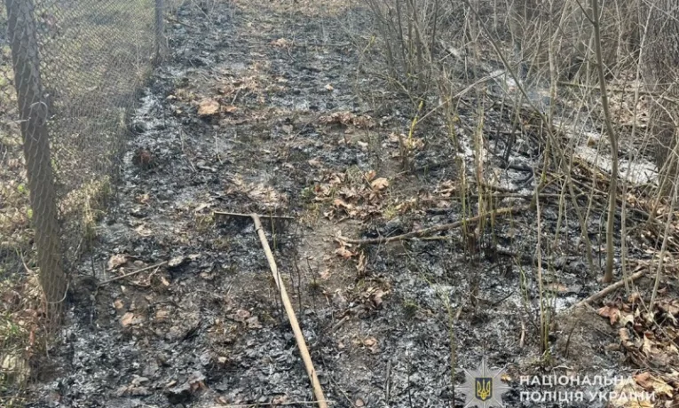 Під час спалювання сухої трави на Тернопільщині загинув чоловік