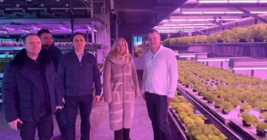 ветеранський бізнес