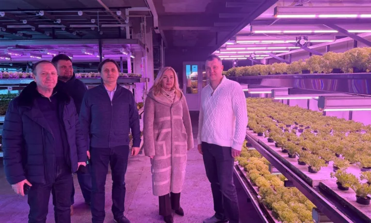 ветеранський бізнес