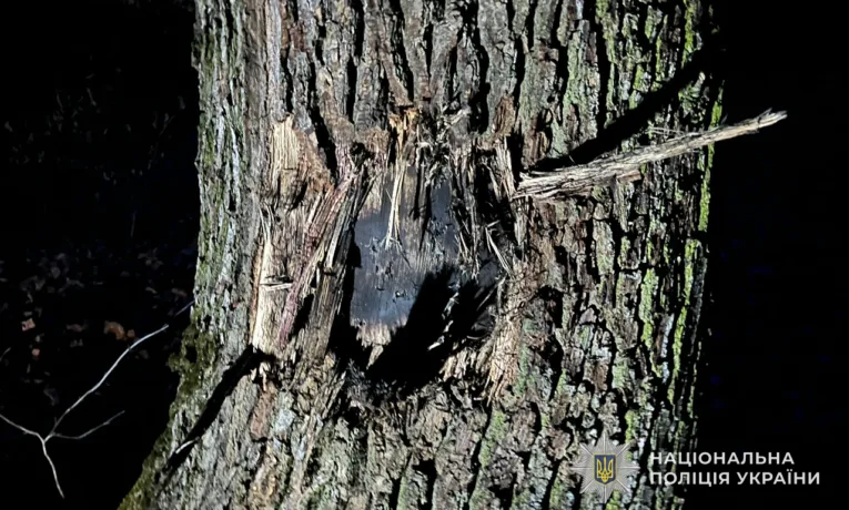 Смертельна знахідка в лісі на Чортківщині: чоловік загинув через детонацію вибухівки