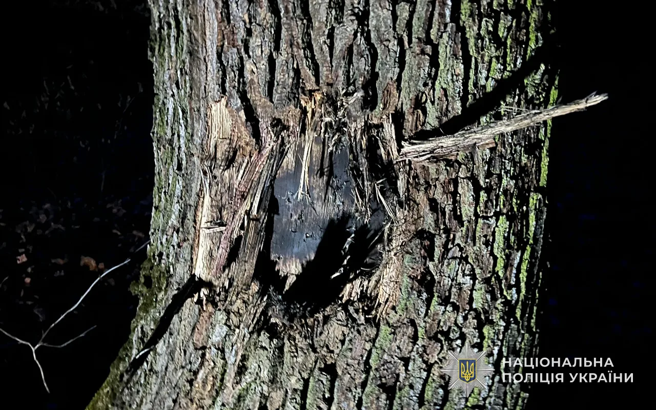 Смертельна знахідка в лісі на Чортківщині: чоловік загинув через детонацію вибухівки
