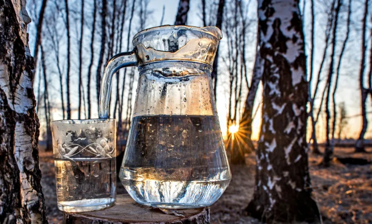 березовий сік