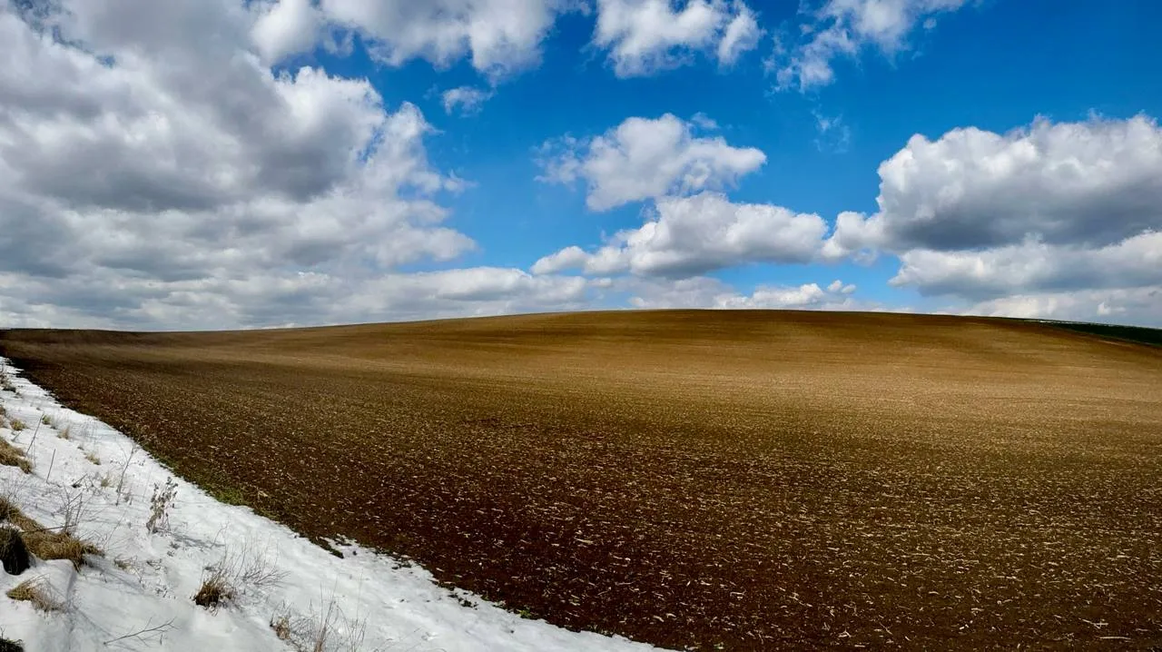 Весняно-польові роботи