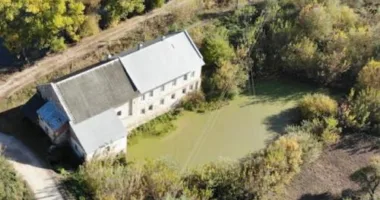 Млин у селі Лошнів