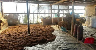 Тютюнова імперія