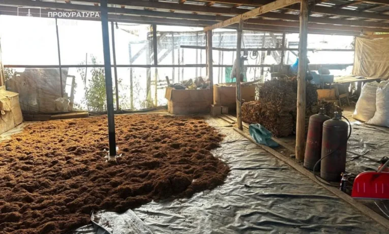 Тютюнова імперія