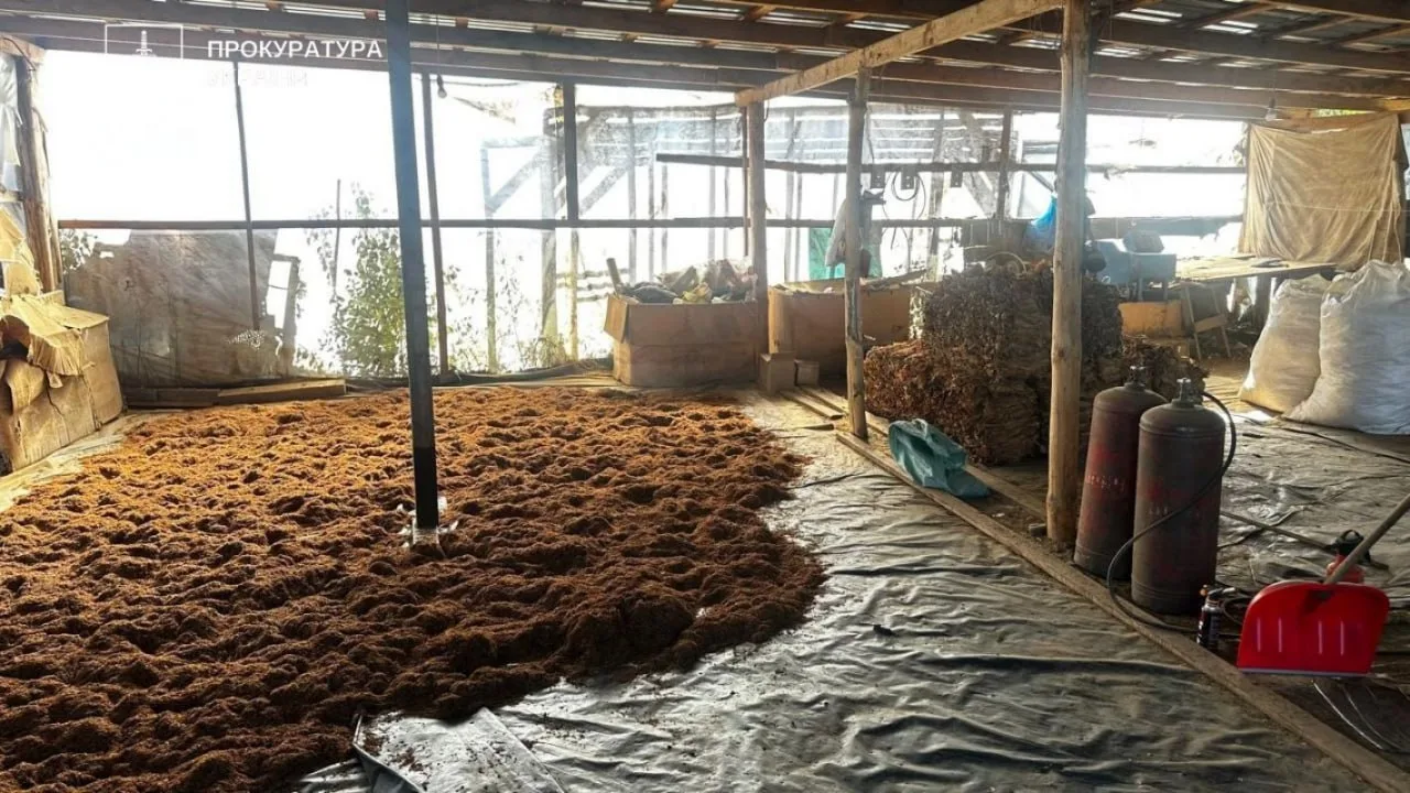 Тютюнова імперія