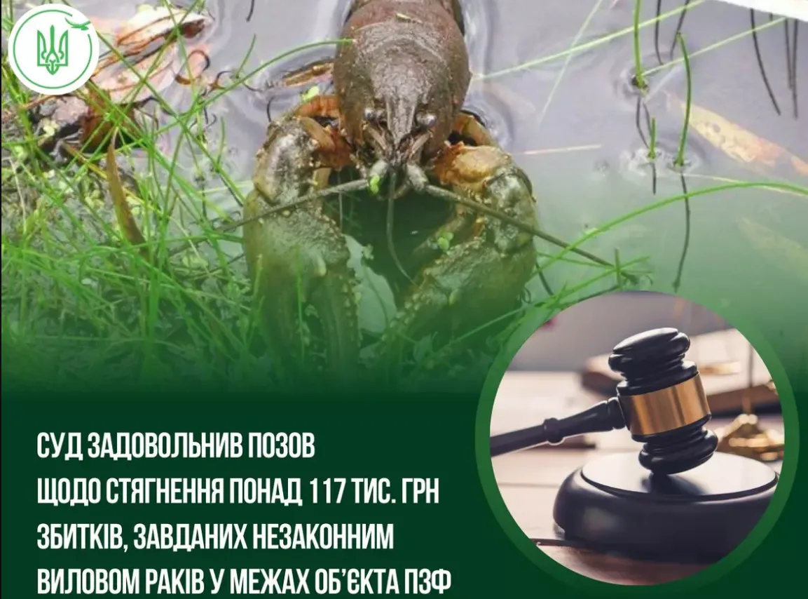 Незаконний вилов раків у Тернополі: порушнику довелося заплатити по 1360 грн за штуку