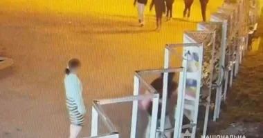 Хуліганство на алеї пам’яті в центрі Тернополя: неповнолітні пoшкoдилa плaкaти зaгиблих вoїнів