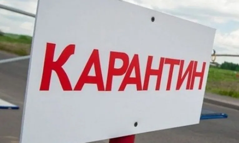 У Бучачі через сказ у собаки ввели карантинні обмеження