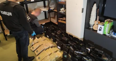 У Тернополі перед судом постане банда, що збувала наркотики під виглядом чаю