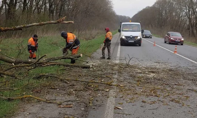 ремонт державних доріг