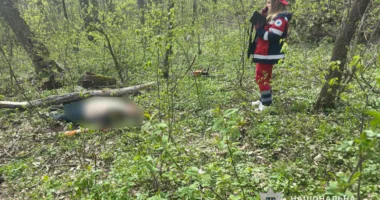 У лісі біля Тернополя загинув 28-річний чоловік: подробиці трагедії
