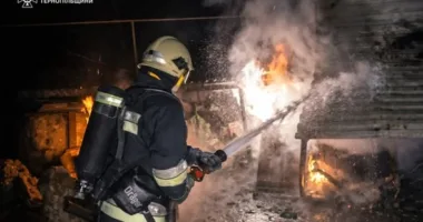 На Чортківщині у пожежі загинули тварини