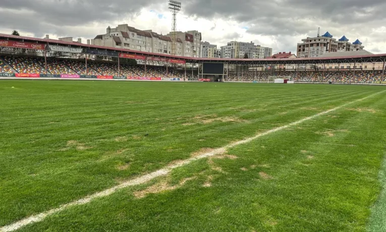 стадіон нива