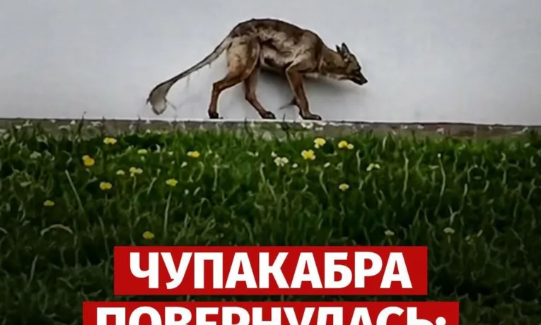 Поки триває війна: країна на межі чи просто в тумані?