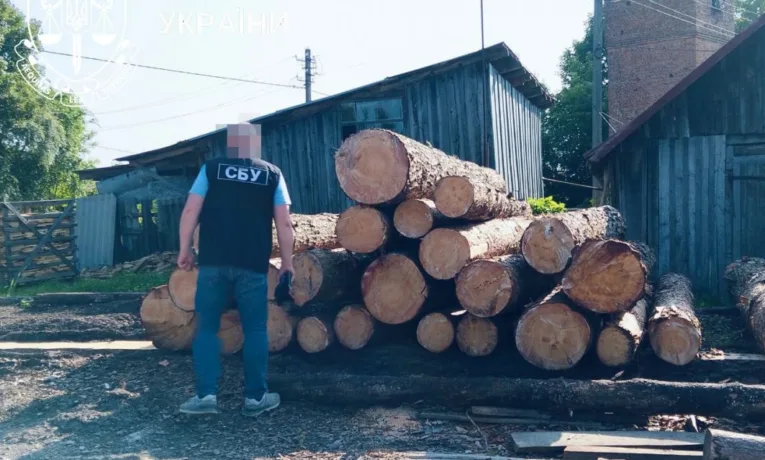 Зрубали лісу