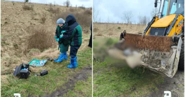 На Тернопільщині виявили загибель тварин поблизу Підгороднього