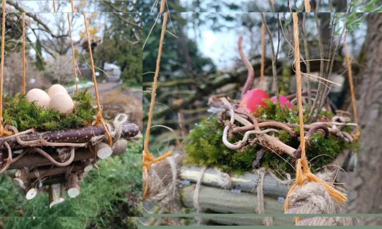 Кременецький ботанічний сад