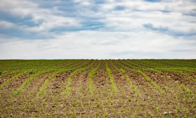 Через борги за оренду на Тернопільщині хочуть повернути громаді 4,2 га землі