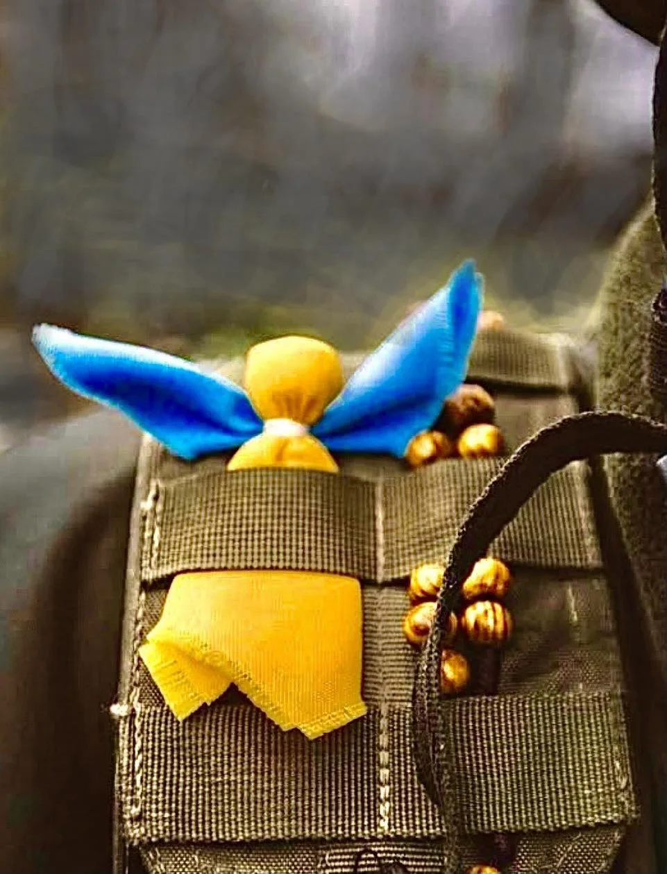 ангелик ЗСУ