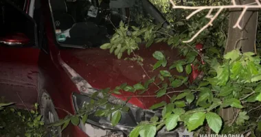 «Телефонувала дитина»: нічна автопригода на Тернопільщині з двома постраждалими