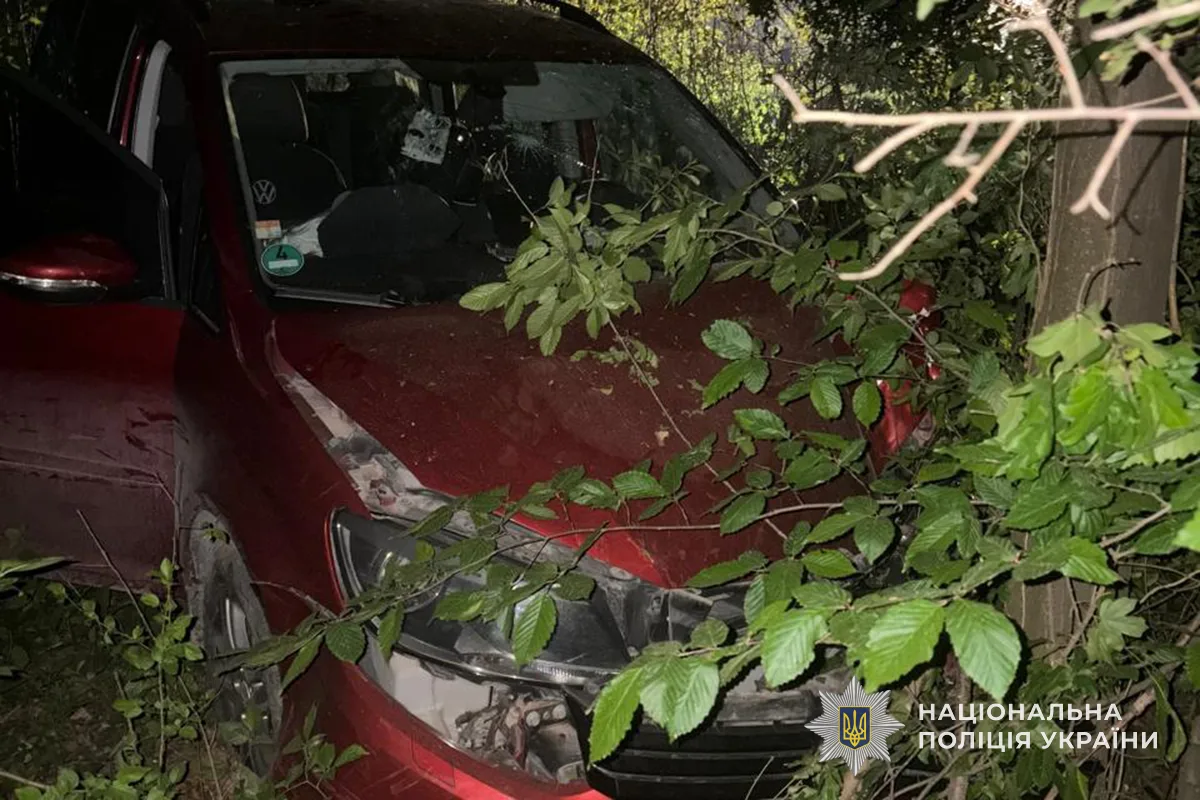 «Телефонувала дитина»: нічна автопригода на Тернопільщині з двома постраждалими