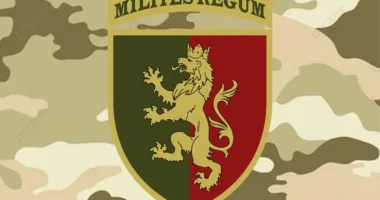 24 бригада