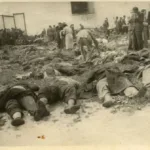 Хто розстрілював в’язнів у Тернополі у 1941 році: оприлюднили архівні документи НКВД