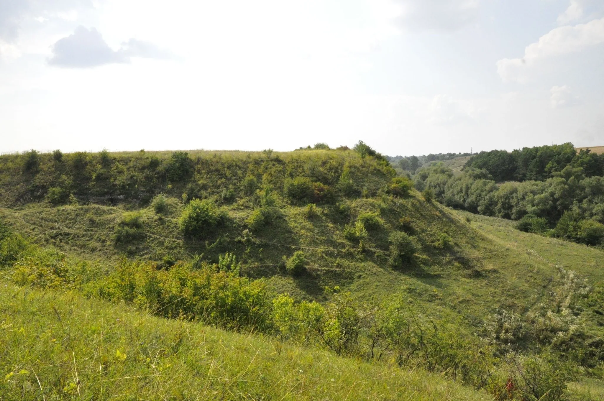 Памʼятки трипільської культури